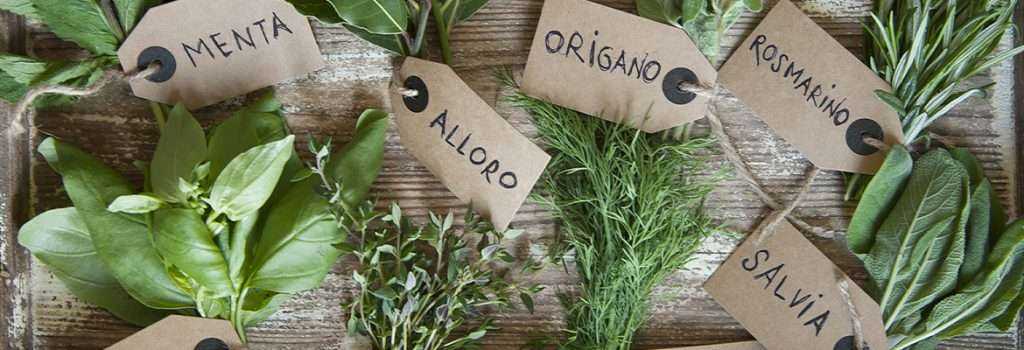Erbe aromatiche nostrane bio