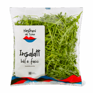 Rucola