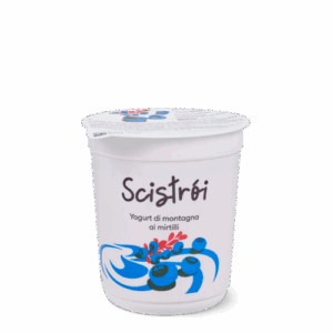 Yogurt Mirtilli