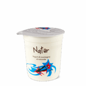 Iogurt natür