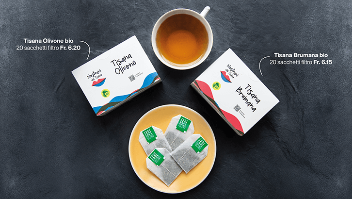 img sett08 Tisana Olivone bio Tisana Brumana bio