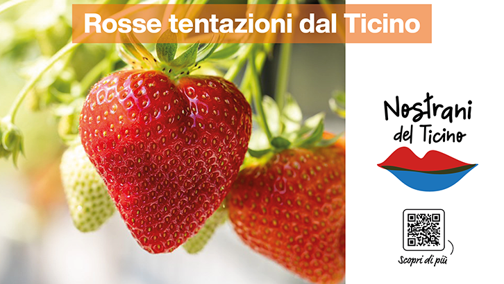 img_sett20 Rosse tentazioni dal Ticino