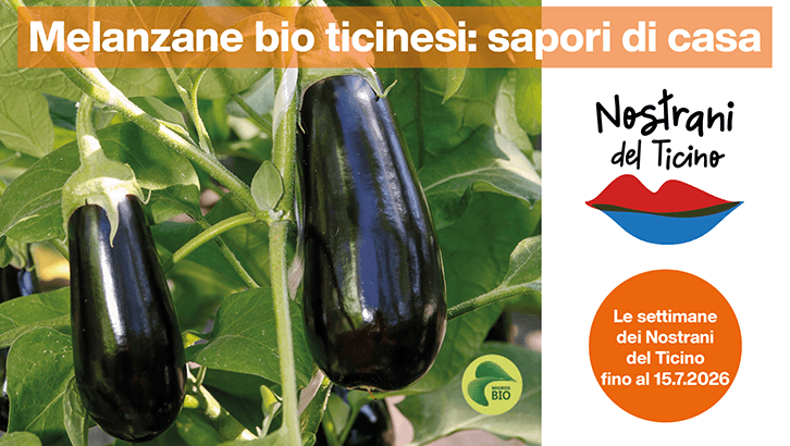 img sett27 Melanzane bio ticinesi sapori di casa