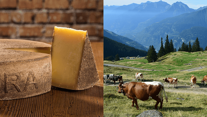 img sett37 formaggi d alpe DOP 2026 img sett37 formaggi d alpe DOP 2026